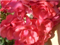 7fa67e57-Picture 665.jpg